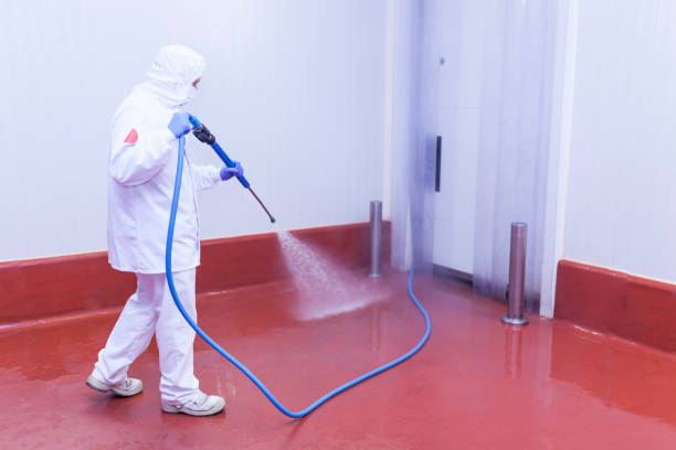 Best Warehouse Cleaning  in North Bennington, VT
